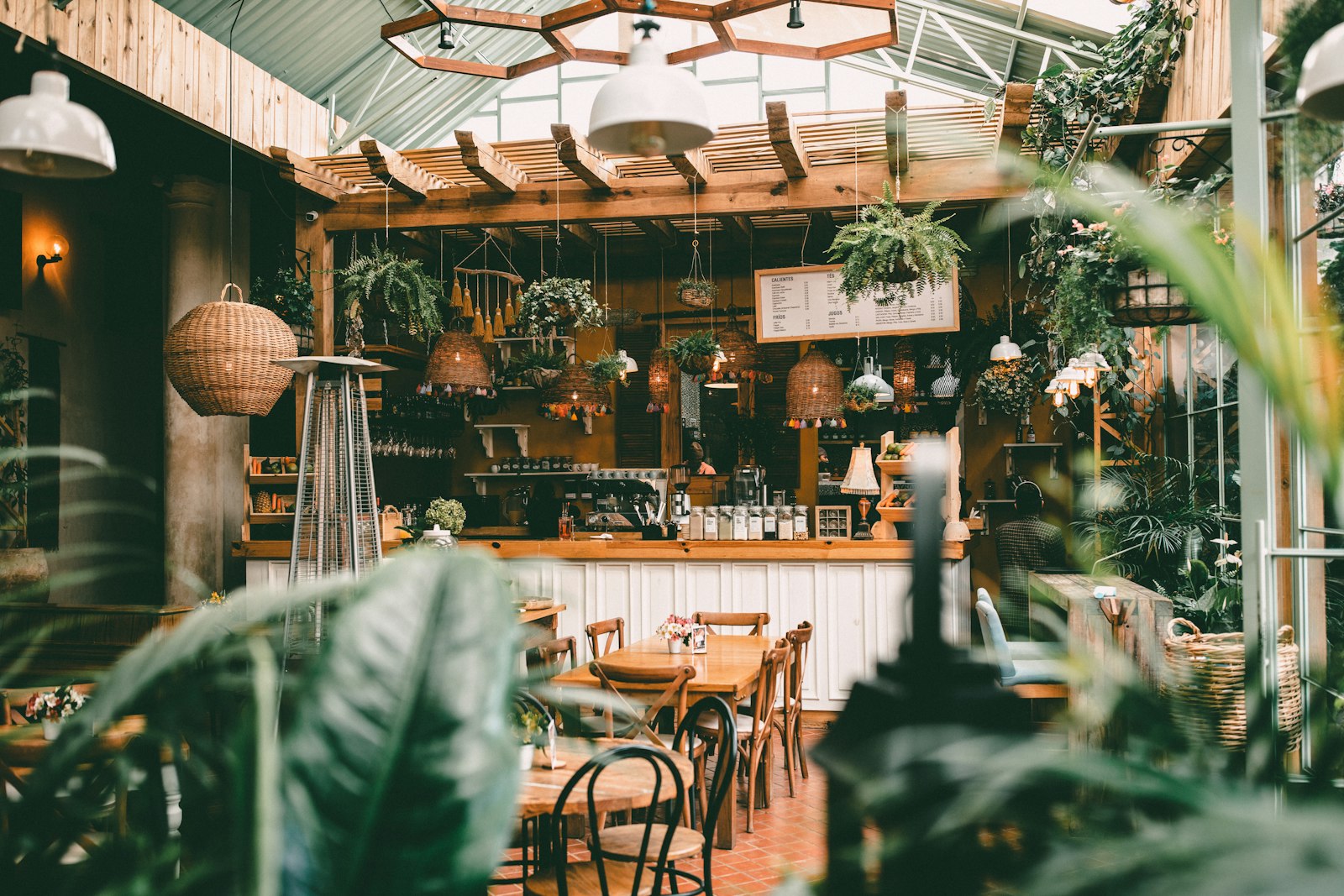 Dining room filled with plants and natural light